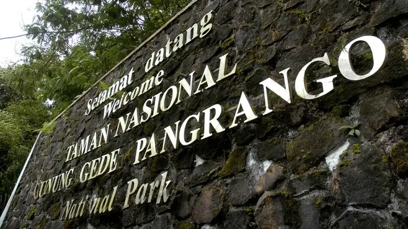 Tarif Masuk Gunung Gede Pangrango Naik